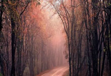 28圈：（新春走基层）（热“雪”新动力）当亚冬会遇到冬季旅游 带动冰雪经济新动能中央广电总台国际在线.