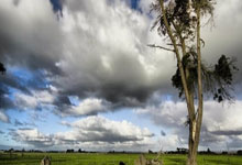 28圈：打疯了！勇士最多领先17分：库里8三分爆砍32分，莫兰特17分.