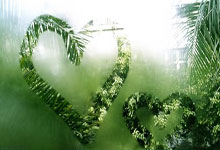 [中超]第30轮：上海海港5-0天津津门虎 集锦.