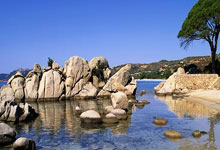 28圈：凯尔特人终结湖人八连胜 詹皇末节伤退.